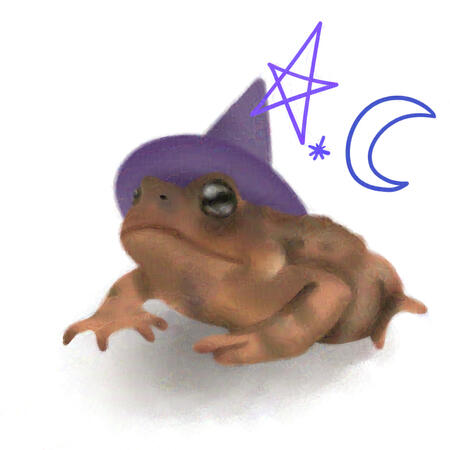 Toad