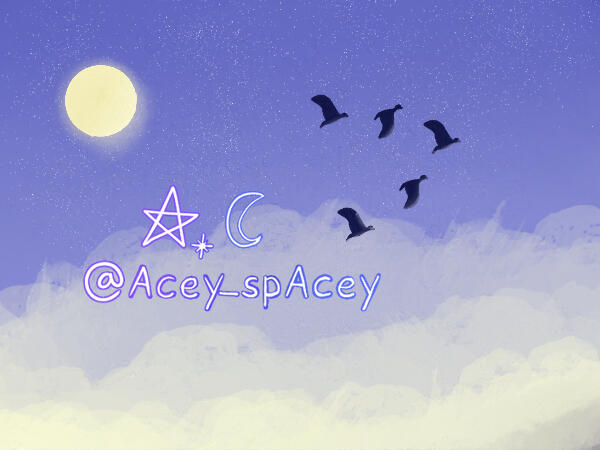 Nomadic birds Nomadic birds